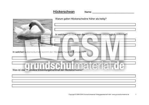 Arbeitsblatt-Höckerschwäne-1.pdf